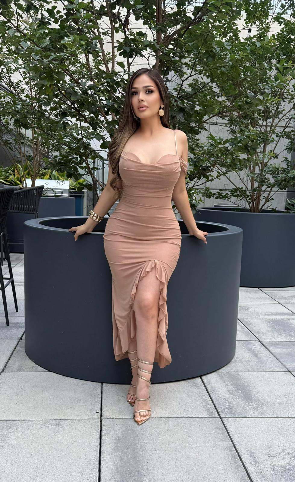 Yanira mesh midi dress